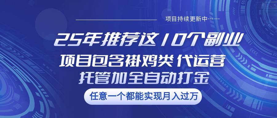 25年推荐这10个副业 项目包含褂鸡类、代运营托管类、全自动打金类网赚项目-副业赚钱-互联网创业-独家轻创IP星泽云创