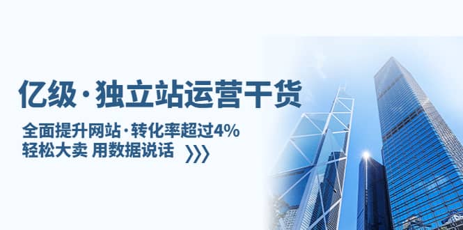 独立站运营干货：全面提升网站·转化率超过4%，轻松大卖 用数据说话网赚项目-副业赚钱-互联网创业-独家轻创IP星泽云创