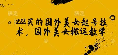 1288买的国外美女起号技术，国外美女搬运教学网赚项目-副业赚钱-互联网创业-独家轻创IP星泽云创