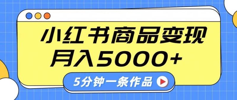 小红书字幕作品玩法，商单变现月入5000+，5分钟一条作品网赚项目-副业赚钱-互联网创业-独家轻创IP星泽云创