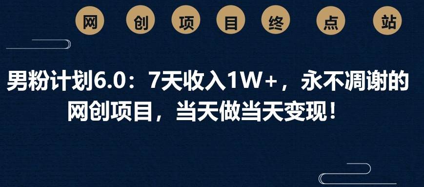 男粉计划6.0：7天收入1W+，永不凋谢的网创项目，当天做当天变现！网赚项目-副业赚钱-互联网创业-独家轻创IP星泽云创
