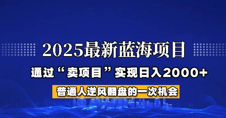 2025年蓝海项目，如何通过“网创项目”日入2000+网赚项目-副业赚钱-互联网创业-独家轻创IP星泽云创