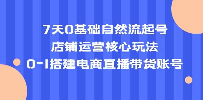 7天0基础自然流起号，店铺运营核心玩法，0-1搭建电商直播带货账号网赚项目-副业赚钱-互联网创业-独家轻创IP星泽云创