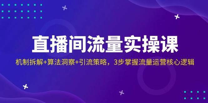 直播间流量实操课：机制拆解+算法洞察+引流策略，3步掌握流量运营核心逻辑网赚项目-副业赚钱-互联网创业-独家轻创IP星泽云创