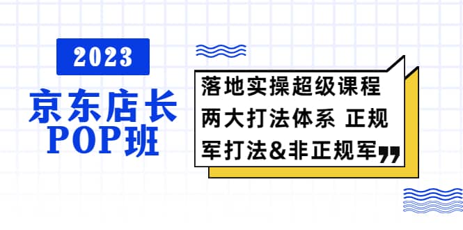 2023京东店长·POP班 落地实操超级课程 两大打法体系 正规军&非正规军网赚项目-副业赚钱-互联网创业-独家轻创IP星泽云创