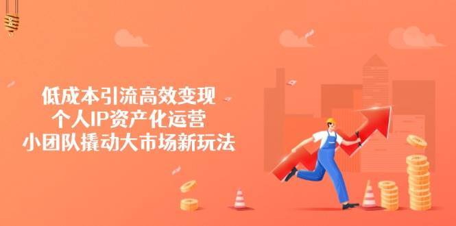 低成本引流高效变现，个人IP资产化运营，小团队撬动大市场新玩法网赚项目-副业赚钱-互联网创业-独家轻创IP星泽云创