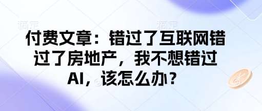 付费文章：错过了互联网错过了房地产，我不想错过AI，该怎么办？网赚项目-副业赚钱-互联网创业-独家轻创IP星泽云创