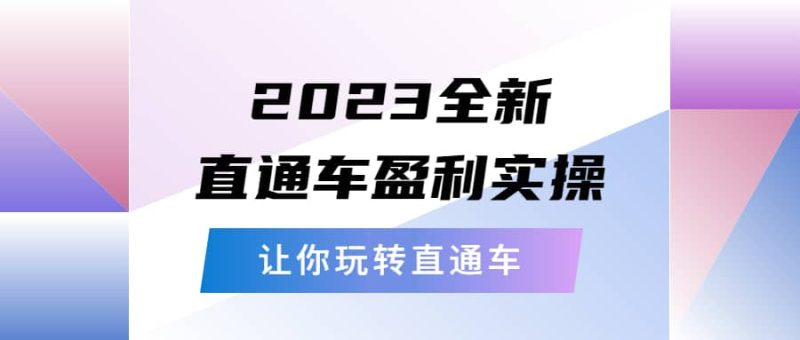 2023全新直通车·盈利实操:从底层,策略到搭建,让你玩转直通车网赚项目-副业赚钱-互联网创业-独家轻创IP星泽云创