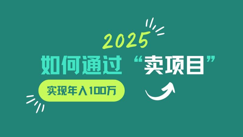 2025年如何通过“卖项目”实现年入100w网赚项目-副业赚钱-互联网创业-独家轻创IP星泽云创