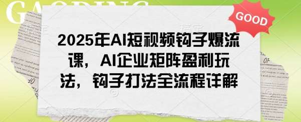 2025年AI短视频钩子爆流课，AI企业矩阵盈利玩法，钩子打法全流程详解网赚项目-副业赚钱-互联网创业-独家轻创IP星泽云创