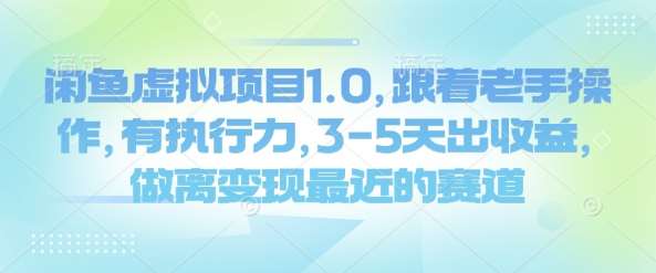 闲鱼虚拟项目1.0，跟着老手操作，有执行力，3-5天出收益，做离变现最近的赛道网赚项目-副业赚钱-互联网创业-独家轻创IP星泽云创