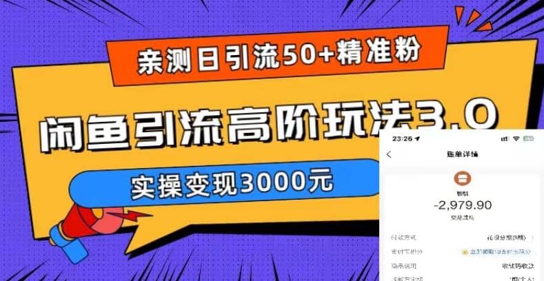 实测日引50+精准粉，闲鱼引流高阶玩法3.0，实操变现3000元网赚项目-副业赚钱-互联网创业-独家轻创IP星泽云创