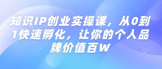 知识IP创业实操课，从0到1快速孵化，让你的个人品牌价值百W网赚项目-副业赚钱-互联网创业-独家轻创IP星泽云创