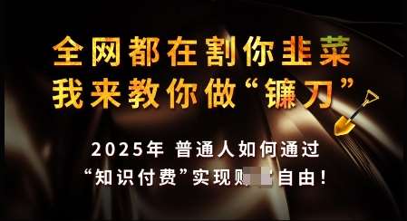 知识付费如何做到月入过W+，2025我来教你做“镰刀”【揭秘】网赚项目-副业赚钱-互联网创业-独家轻创IP星泽云创