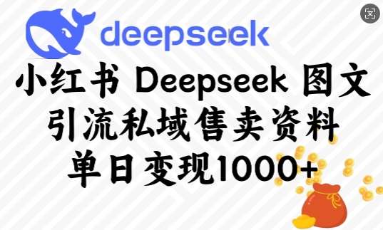 小红书Deepseek图文引流私域售卖资料，单日变现多张网赚项目-副业赚钱-互联网创业-独家轻创IP星泽云创