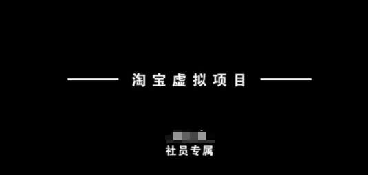 淘宝虚拟项目，从理论到实操，新手也能快速上手网赚项目-副业赚钱-互联网创业-独家轻创IP星泽云创