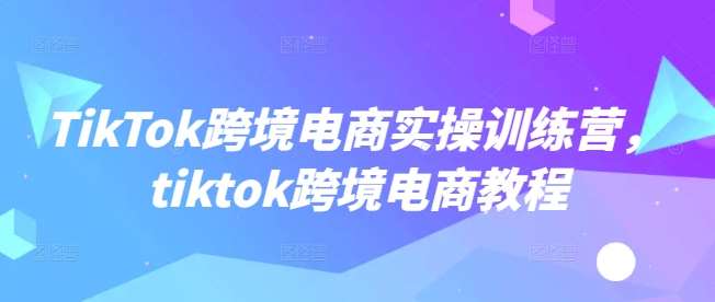 TikTok跨境电商实操训练营，tiktok跨境电商教程网赚项目-副业赚钱-互联网创业-独家轻创IP星泽云创