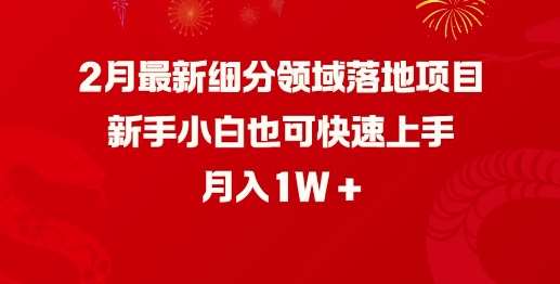 2月最新细分领域落地项目，新手小白也可快速上手，月入1W网赚项目-副业赚钱-互联网创业-独家轻创IP星泽云创
