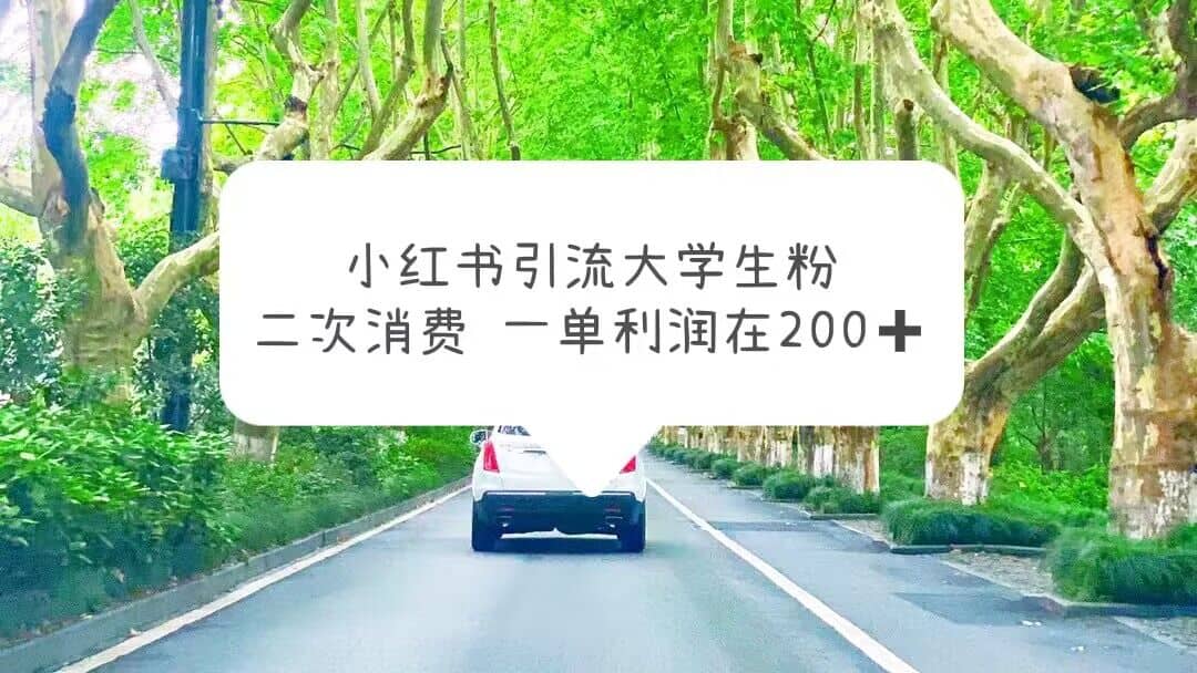 小红书引流大学生粉，变现项目，一单利润在200+（教程+资源）网赚项目-副业赚钱-互联网创业-独家轻创IP星泽云创