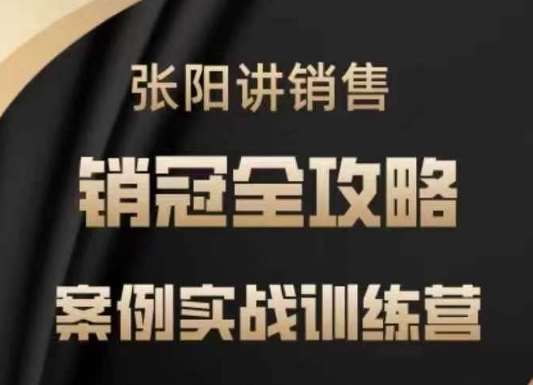 张阳讲销售实战训练营，​案例实战训练，销冠全攻略网赚项目-副业赚钱-互联网创业-独家轻创IP星泽云创