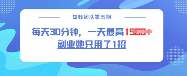 副业她只用了1招，每天30分钟，无脑二创，一天最高1.5k网赚项目-副业赚钱-互联网创业-独家轻创IP星泽云创