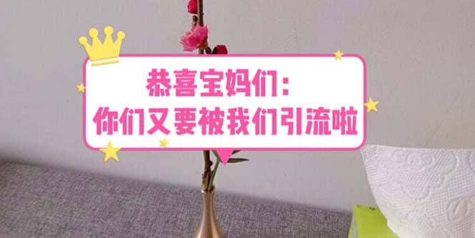 恭喜宝妈们：你们又要被我们引流了（教程+222g资料）网赚项目-副业赚钱-互联网创业-独家轻创IP星泽云创