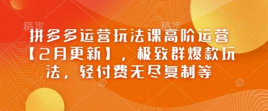 拼多多运营玩法课高阶运营【2月更新】，极致群爆款玩法，轻付费无尽复制等网赚项目-副业赚钱-互联网创业-独家轻创IP星泽云创