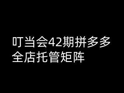 叮当会拼多多打爆班原创高阶技术第42期，拼多多全店托管矩阵网赚项目-副业赚钱-互联网创业-独家轻创IP星泽云创