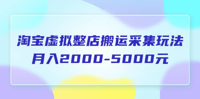 淘宝虚拟整店搬运采集玩法分享课：月入2000-5000元（5节课）网赚项目-副业赚钱-互联网创业-独家轻创IP星泽云创