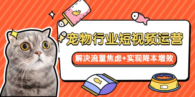 宠物/行业短视频运营 流量增长的一层窗户纸 解决流量焦虑+实现降本增效网赚项目-副业赚钱-互联网创业-独家轻创IP星泽云创