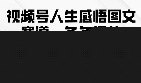 视频号人生感悟图文赛道，条条播放10w+，这个方法做视频号太牛了网赚项目-副业赚钱-互联网创业-独家轻创IP星泽云创