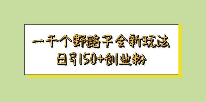 一千个野路子全新玩法 日引50+创业粉网赚项目-副业赚钱-互联网创业-独家轻创IP星泽云创