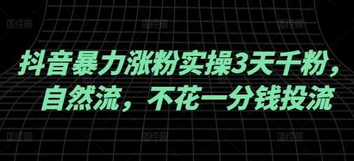抖音暴力涨粉实操3天千粉，自然流，不花一分钱投流，实操经验分享网赚项目-副业赚钱-互联网创业-独家轻创IP星泽云创