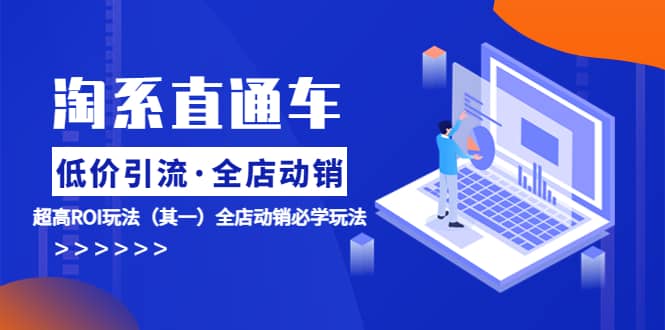 淘系直通车《低价·引流 全店·动销》超高ROI玩法（其一）全店动销必学玩法网赚项目-副业赚钱-互联网创业-独家轻创IP星泽云创