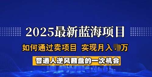2025蓝海项目，普通人如何通过卖项目，实现月入过W，全过程【揭秘】网赚项目-副业赚钱-互联网创业-独家轻创IP星泽云创