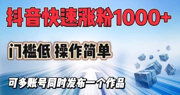 抖音快速涨1000+粉，门槛低操作简单，可多账号同时发布一个作品网赚项目-副业赚钱-互联网创业-独家轻创IP星泽云创