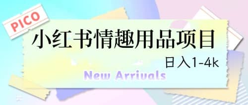 最新小红书情趣用品项目，日入1-4k网赚项目-副业赚钱-互联网创业-独家轻创IP星泽云创