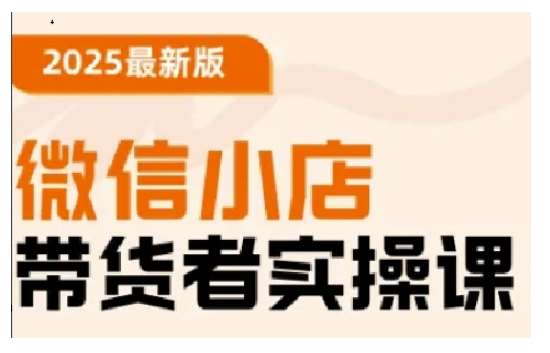 2025最新版微信小店带货者实操课，基础操作到高级运营技巧，快速上手网赚项目-副业赚钱-互联网创业-独家轻创IP星泽云创