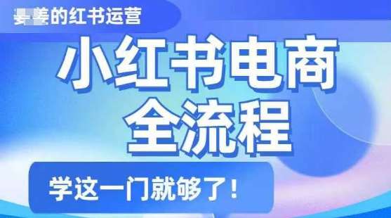 小红书电商全流程，精简易懂，从入门到精通，学这一门就够了网赚项目-副业赚钱-互联网创业-独家轻创IP星泽云创