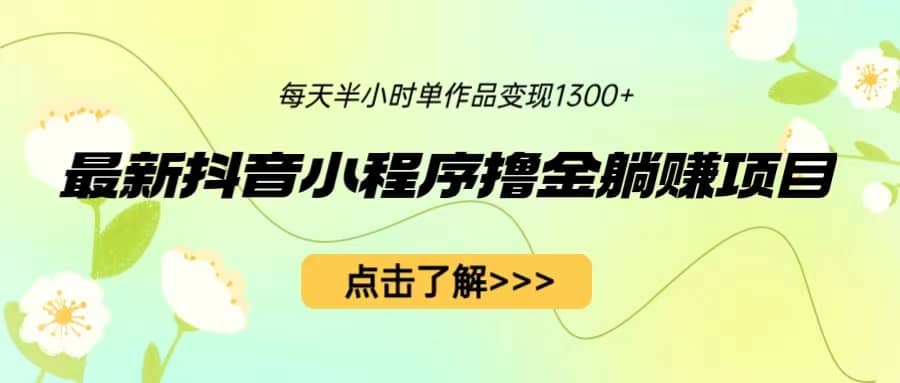 最新抖音小程序撸金躺赚项目，一部手机每天半小时，单个作品变现1300+网赚项目-副业赚钱-互联网创业-独家轻创IP星泽云创