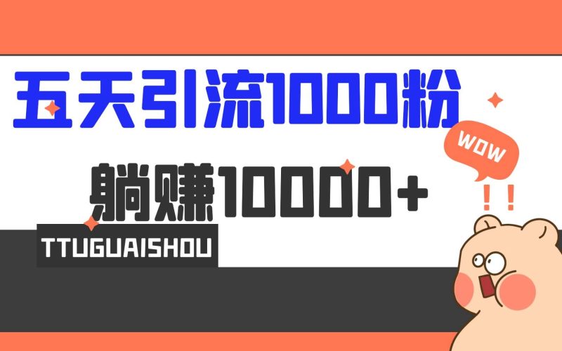 5天引流1000+，赚了1w+网赚项目-副业赚钱-互联网创业-独家轻创IP星泽云创