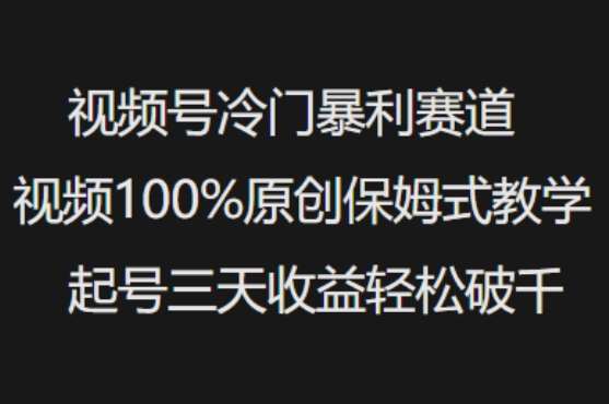 视频号冷门暴利赛道视频100%原创保姆式教学起号三天收益轻松破千网赚项目-副业赚钱-互联网创业-独家轻创IP星泽云创