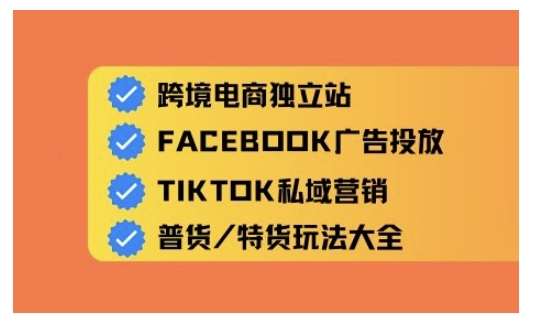 跨境电商独立站及全域流量营销，从0基础快速入门并精通跨境电商运营网赚项目-副业赚钱-互联网创业-独家轻创IP星泽云创