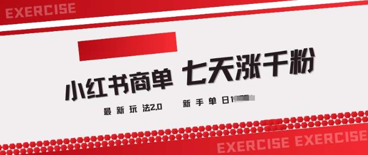 小红书商单2.0最新玩法，3天涨千粉单日变现多张网赚项目-副业赚钱-互联网创业-独家轻创IP星泽云创