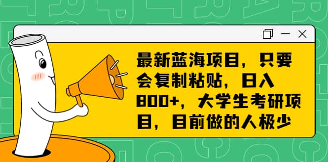 最新蓝海项目，只要会复制粘贴，日入800+，大学生考研项目，目前做的人极少网赚项目-副业赚钱-互联网创业-独家轻创IP星泽云创