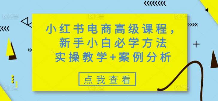 小红书电商高级课程，新手小白必学方法，实操教学+案例分析网赚项目-副业赚钱-互联网创业-独家轻创IP星泽云创