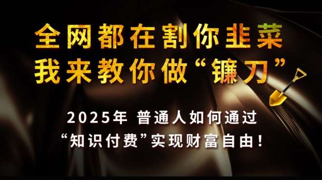 全网都在割你韭菜，我来教你做镰刀,2025普通人如何通过知识付费，实现财F自由【揭秘】网赚项目-副业赚钱-互联网创业-独家轻创IP星泽云创