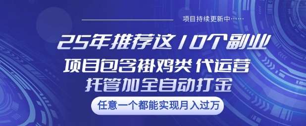 25年推荐这10个副业项目包含褂鸡类、代运营托管类、全自动打金类【揭秘】网赚项目-副业赚钱-互联网创业-独家轻创IP星泽云创