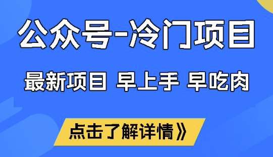 公众号冷门赛道，早上手早吃肉，单月轻松稳定变现1W【揭秘】网赚项目-副业赚钱-互联网创业-独家轻创IP星泽云创