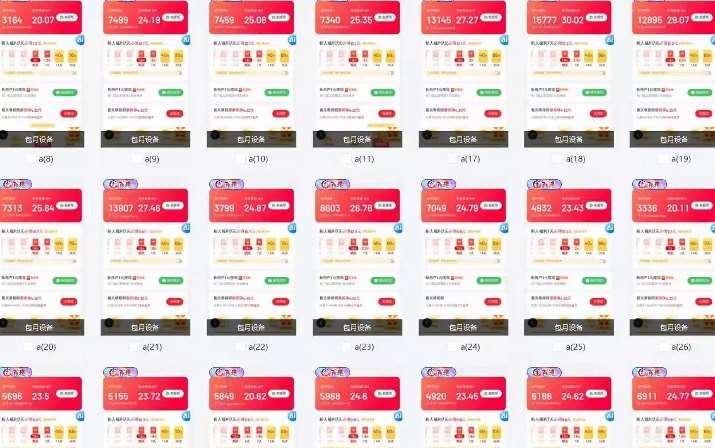 图片[2]-25年最新项目批量操作，小白也能轻松月入过W，可无限放大【揭秘】-讯领网创